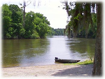 Savannah - The River Basin Center